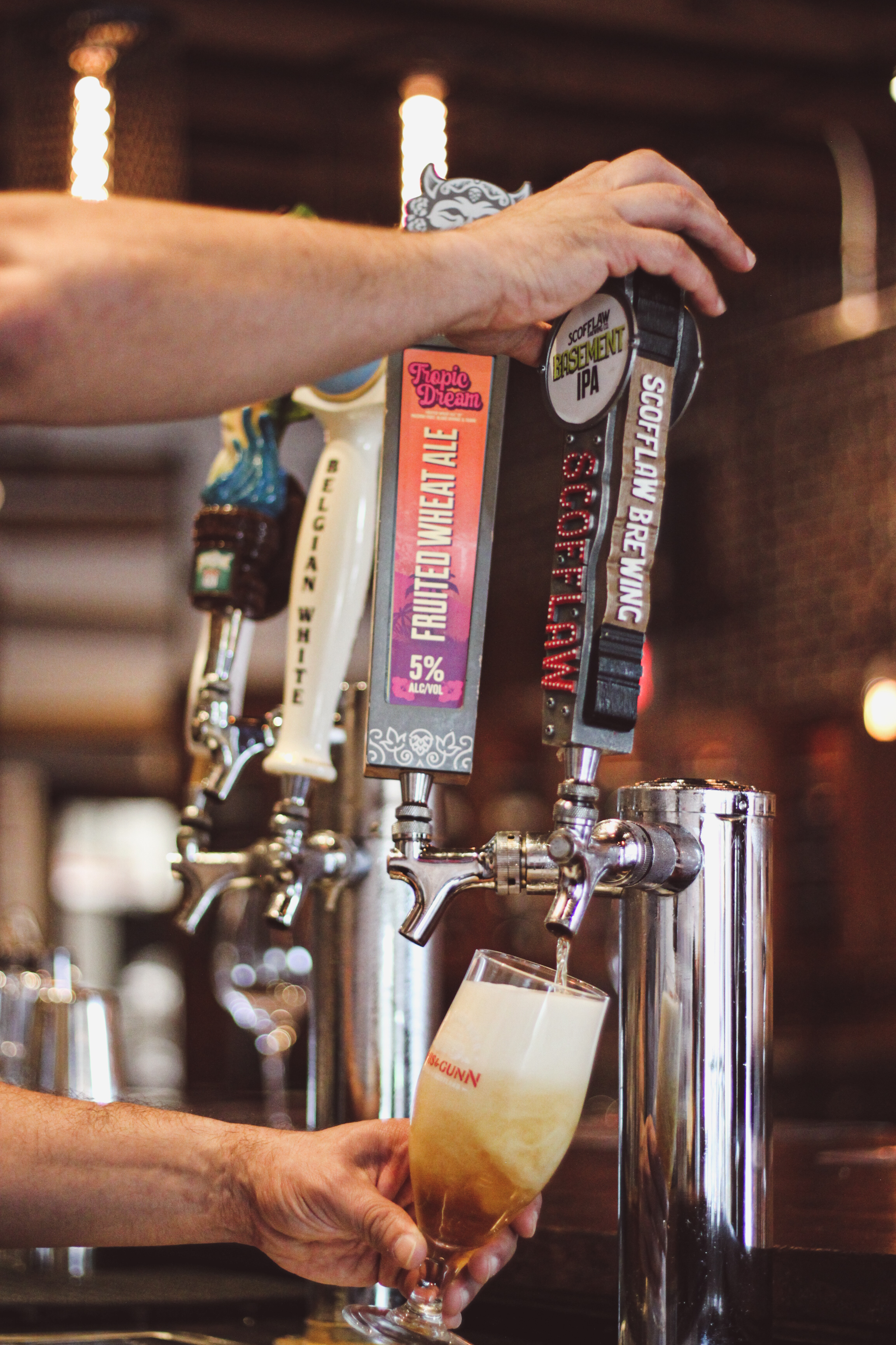 Draft beers